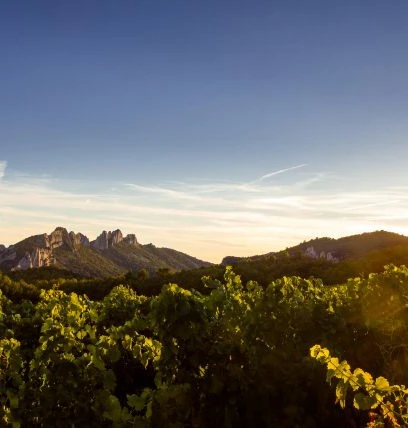 vaucluse
