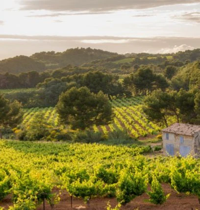 collines rhodaniennes