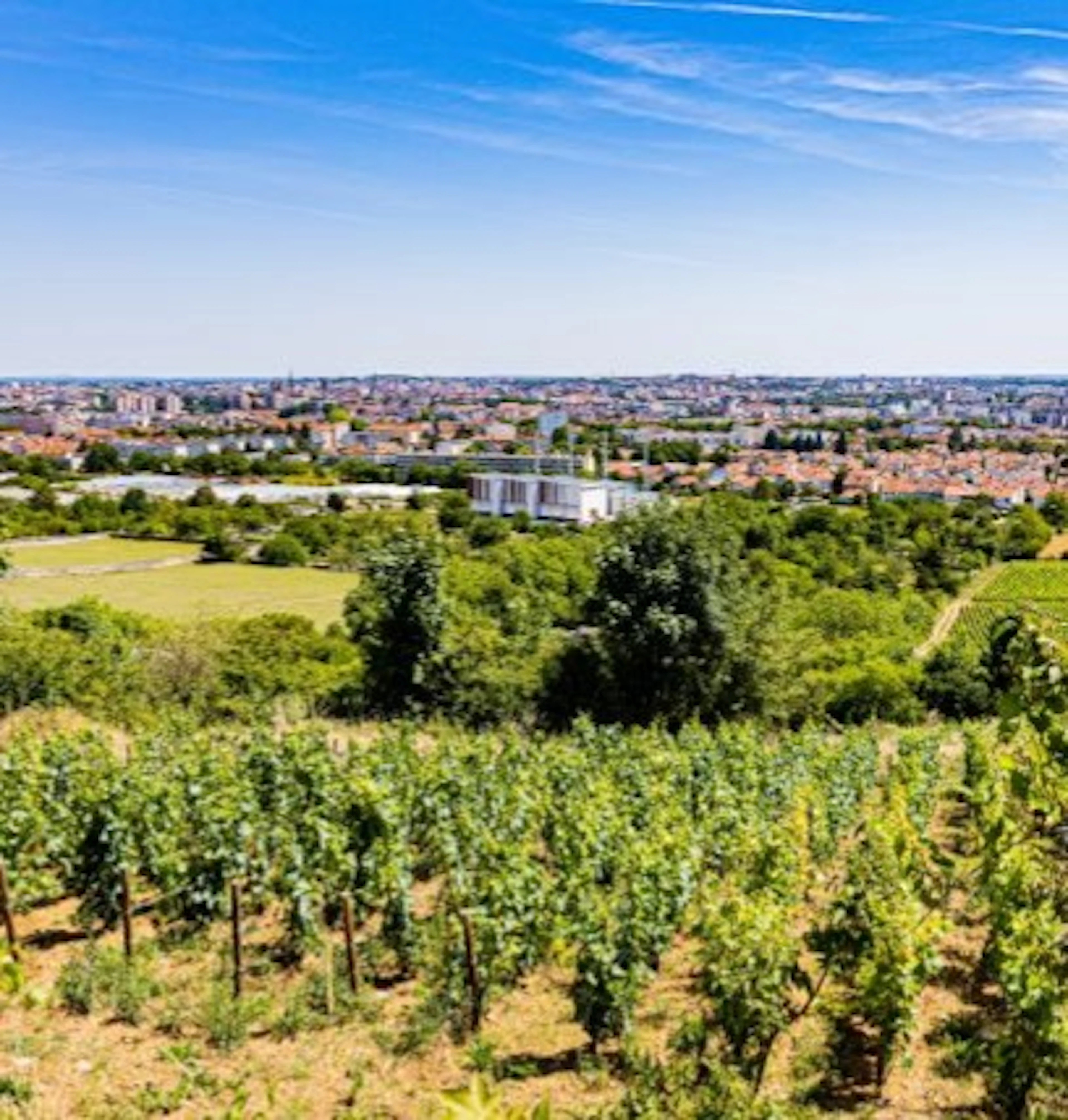 bourgogne montrecul