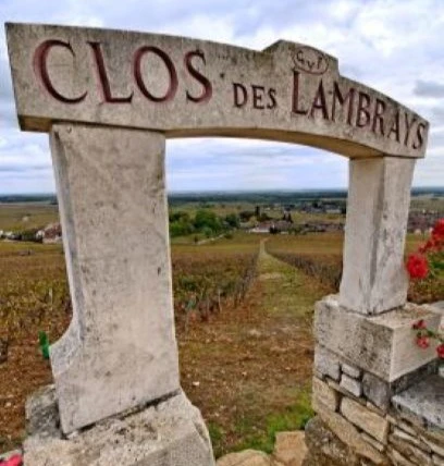 clos des lambrays