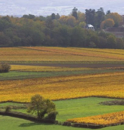 montagny