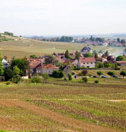 musigny
