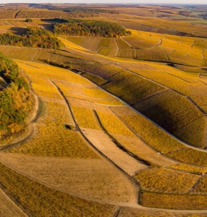 petit chablis