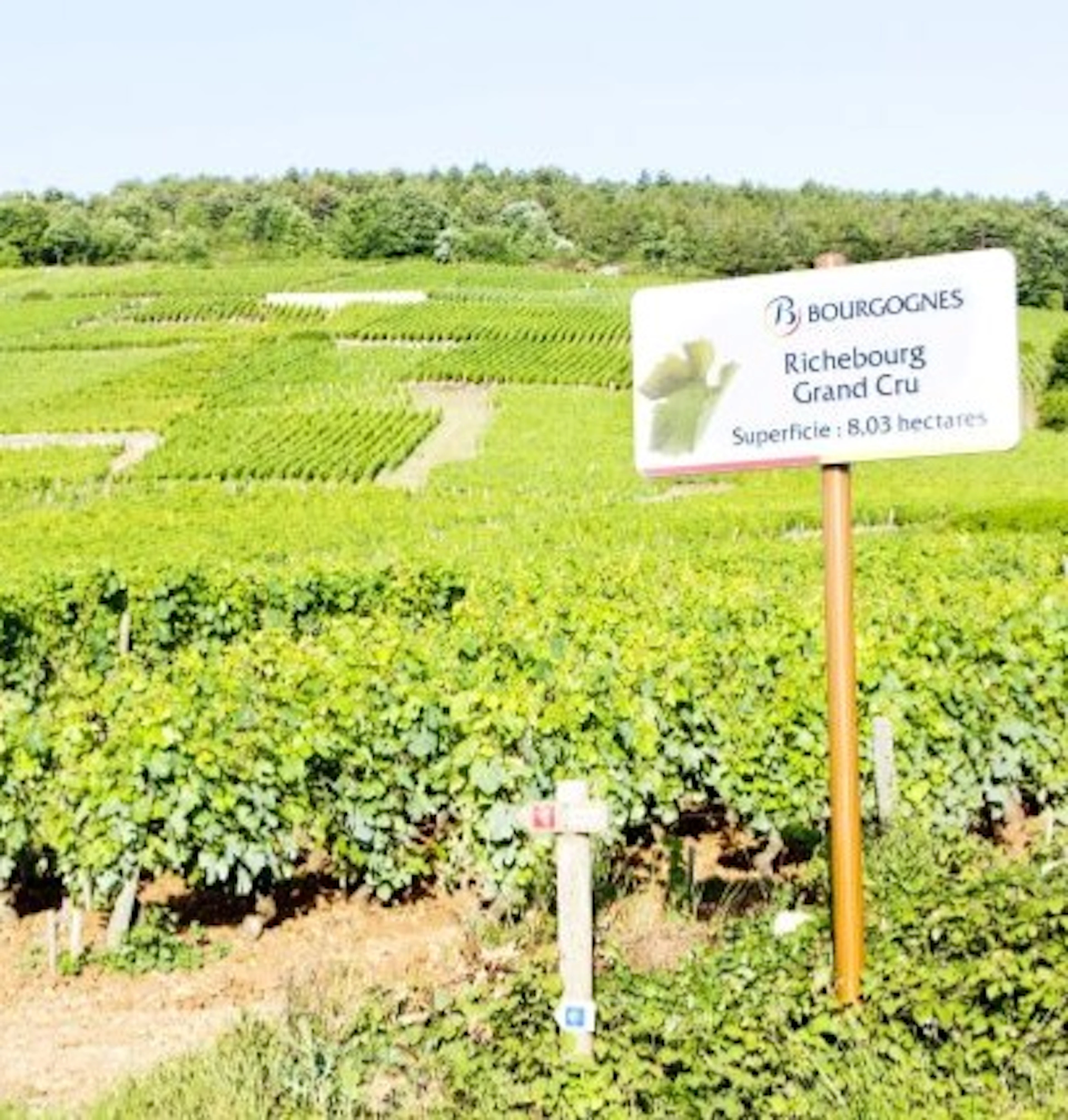 richebourg