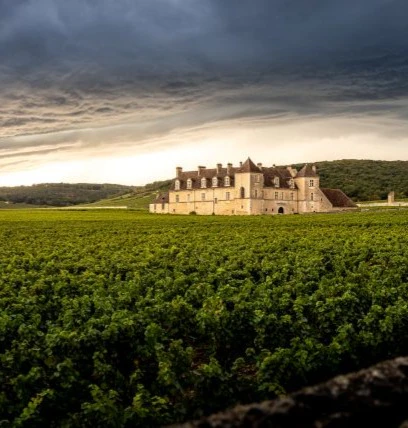 vougeot