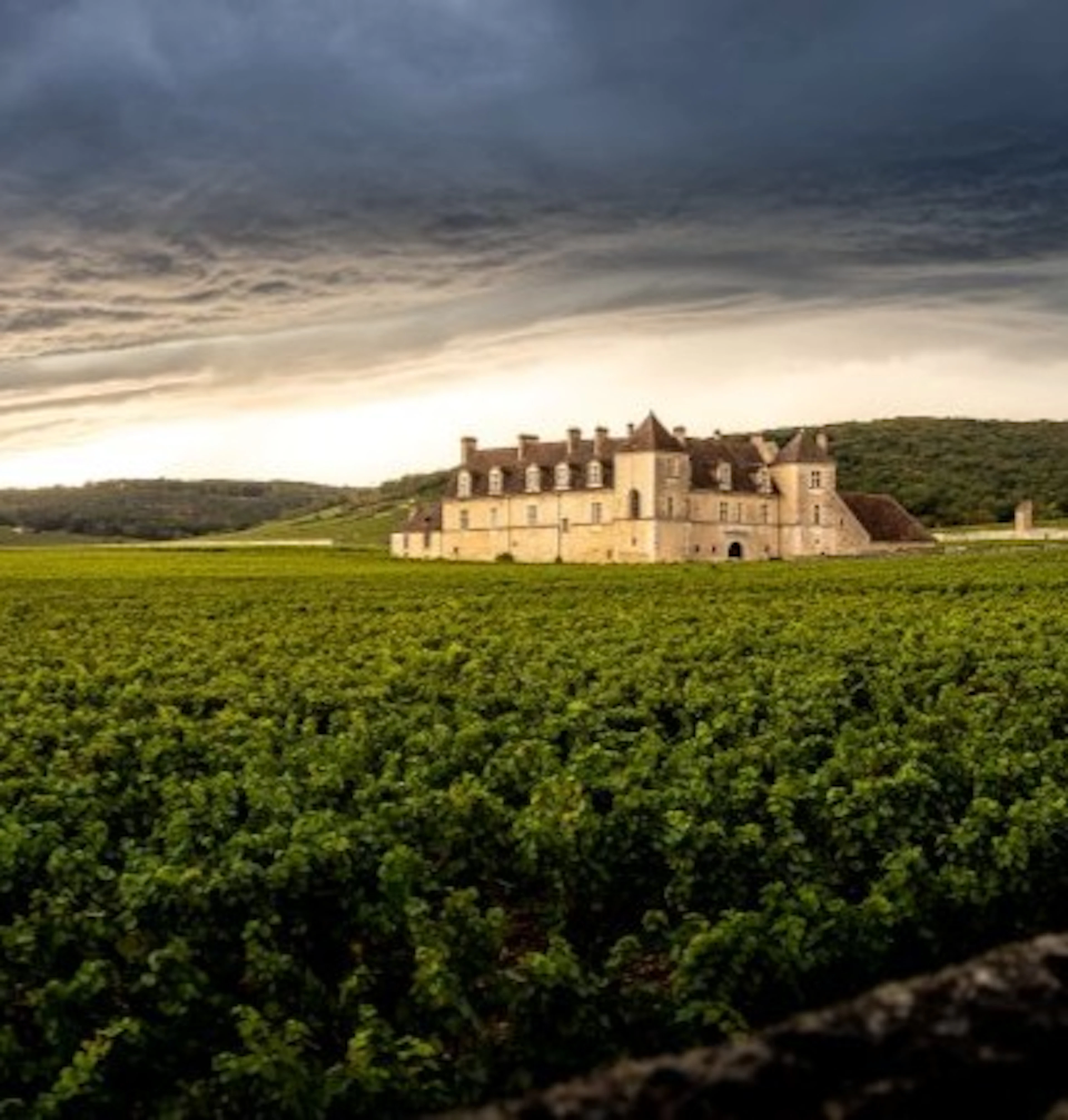 vougeot