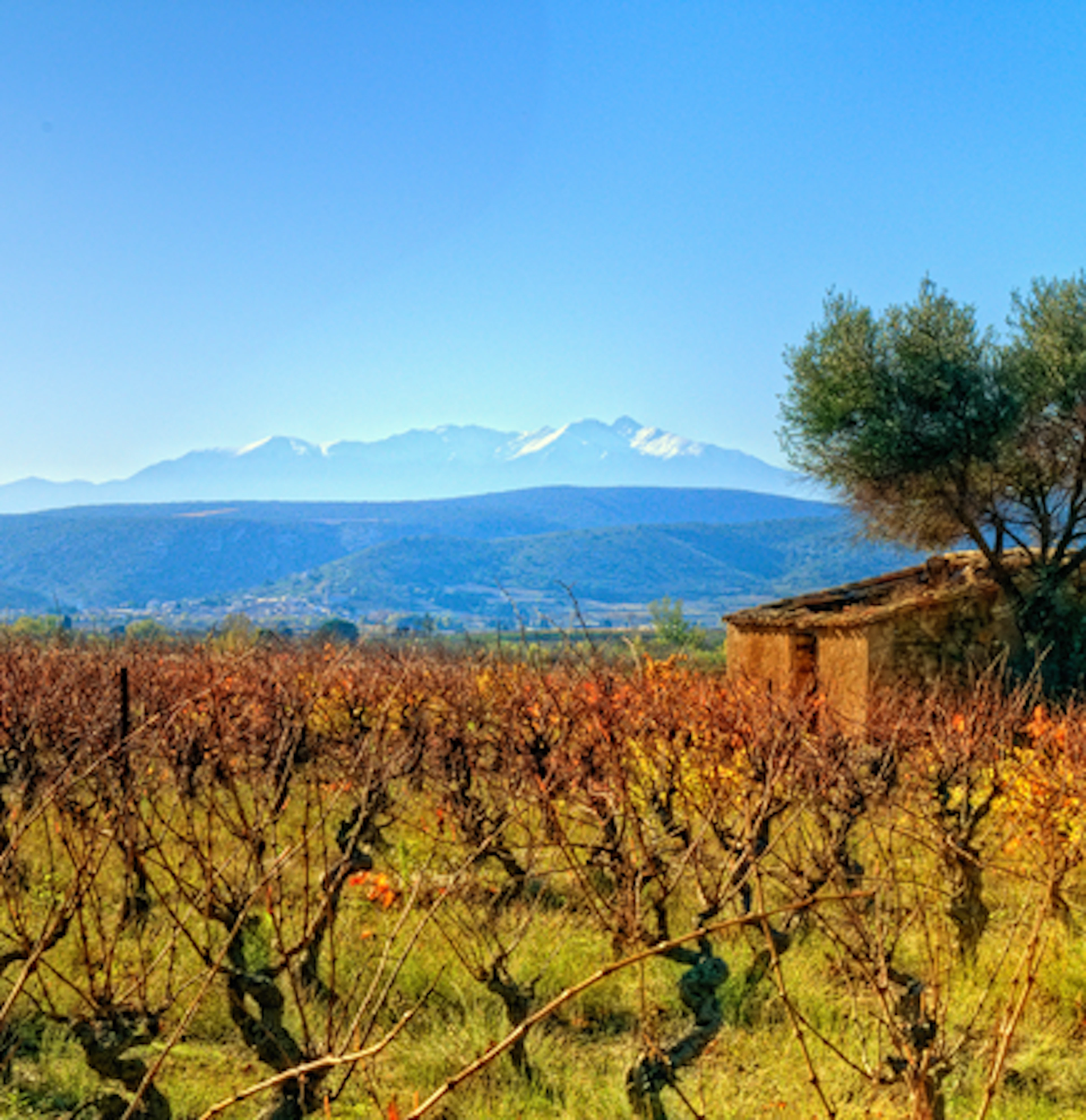 Corbières