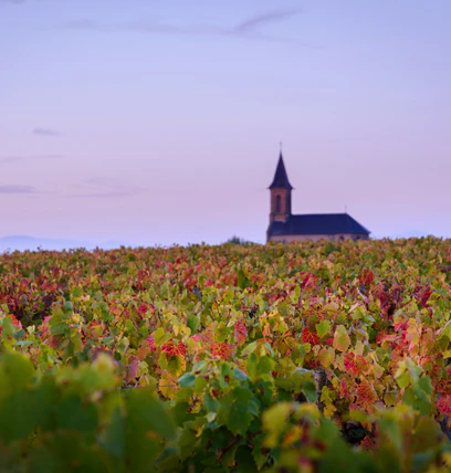 Saint-Amour