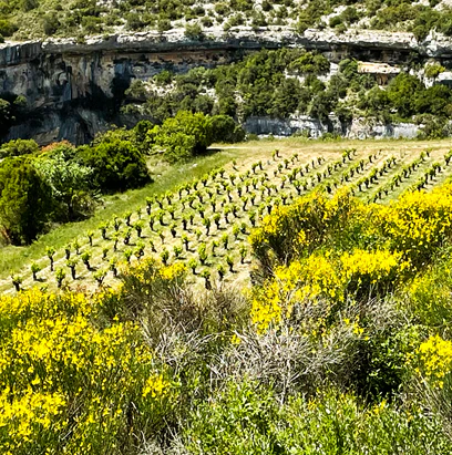 Minervois
