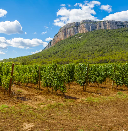 Pic Saint-Loup