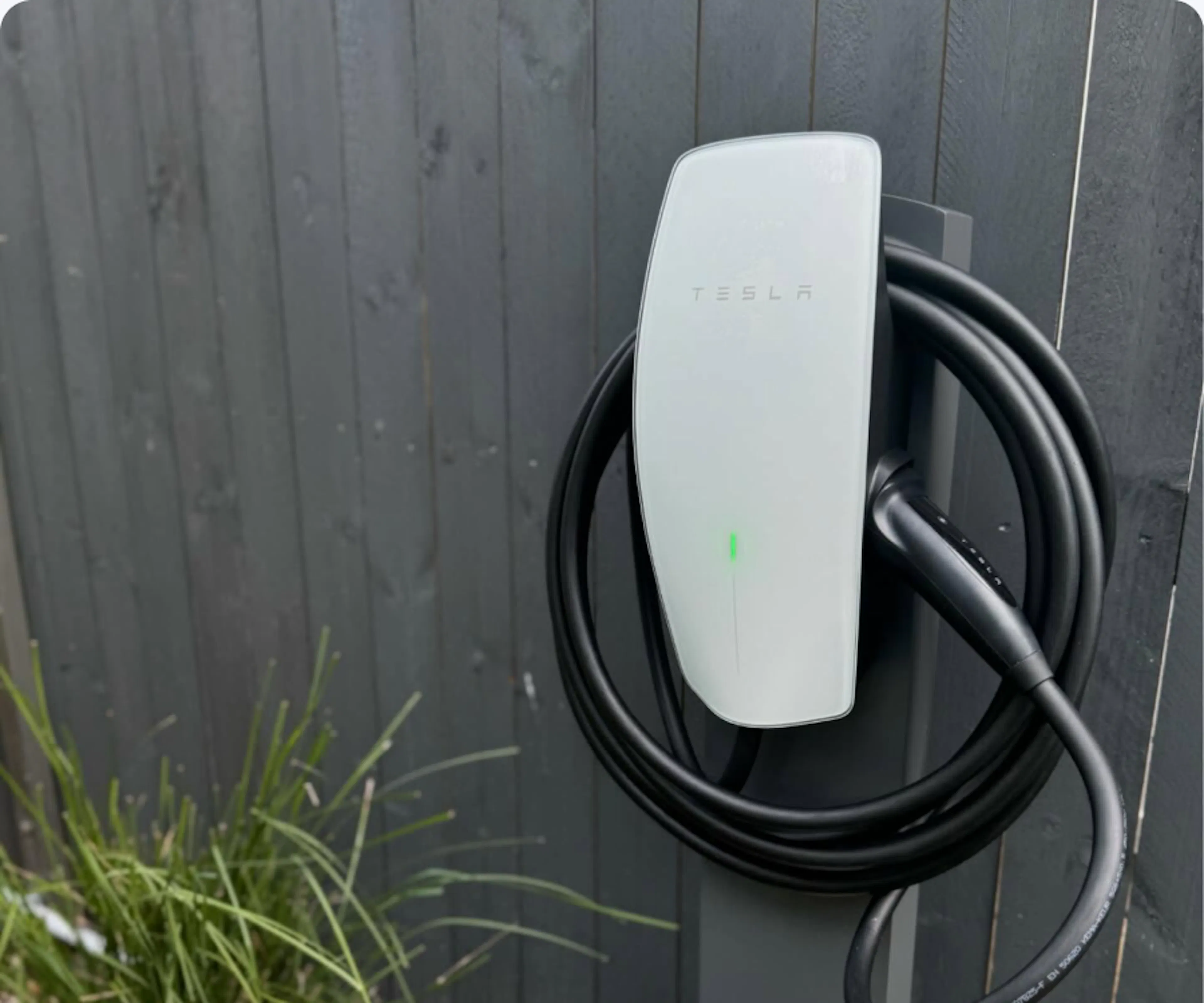 Tesla Wall Connector on a dark timber wall above garden grasses