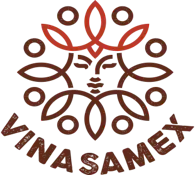 logo-Vinasamex