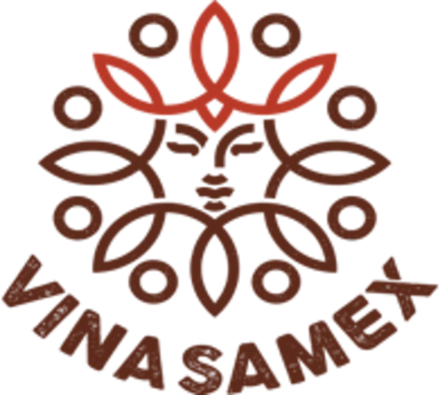 logo-Vinasamex