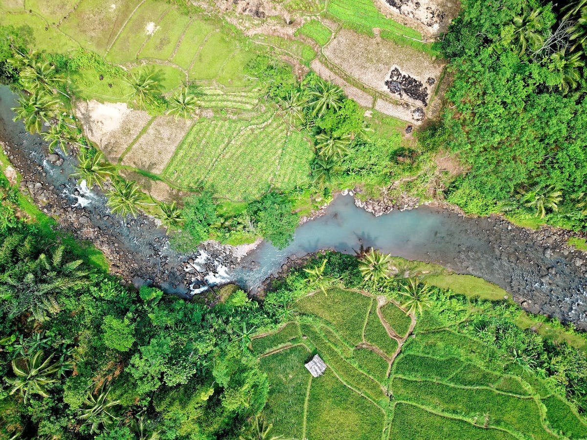 Aerial view of river and agricultural fields.