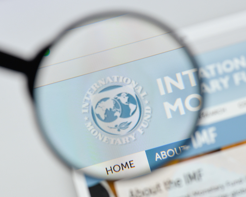 IMF Logo