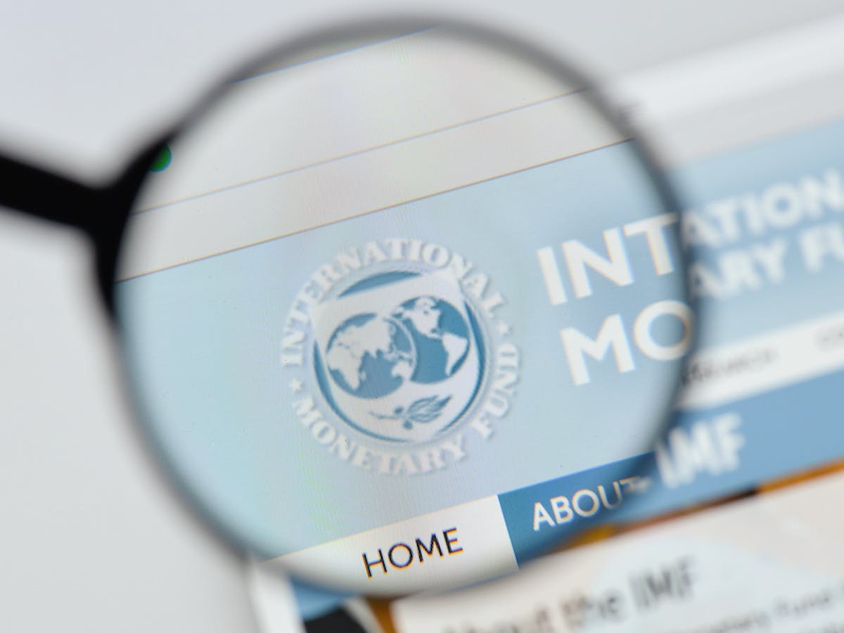 IMF Logo