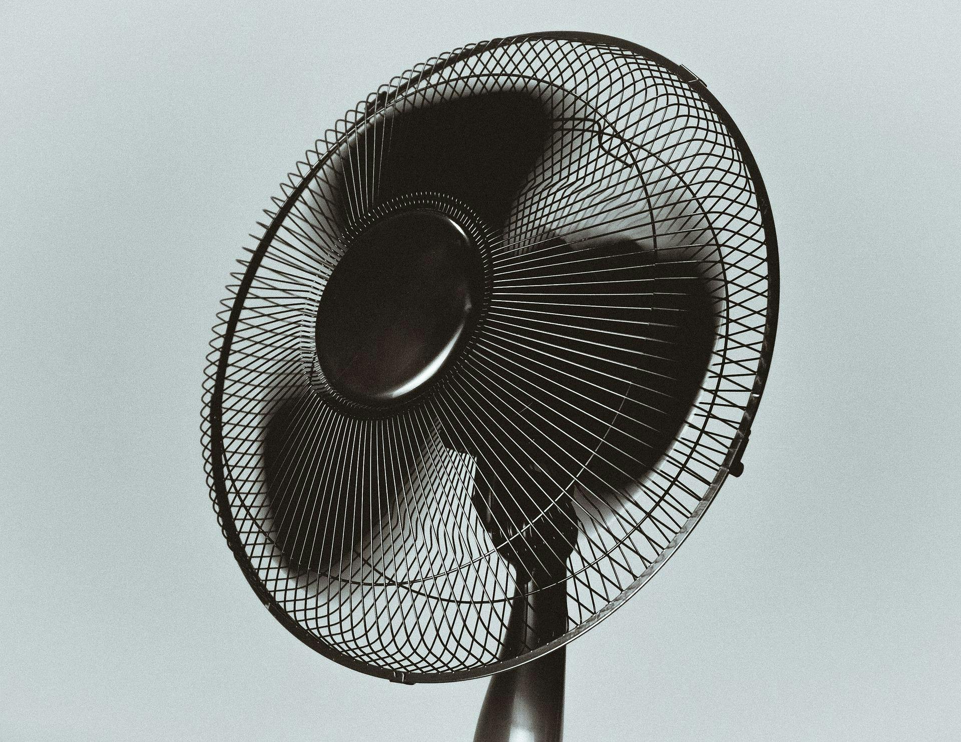 Just a regular old fan.