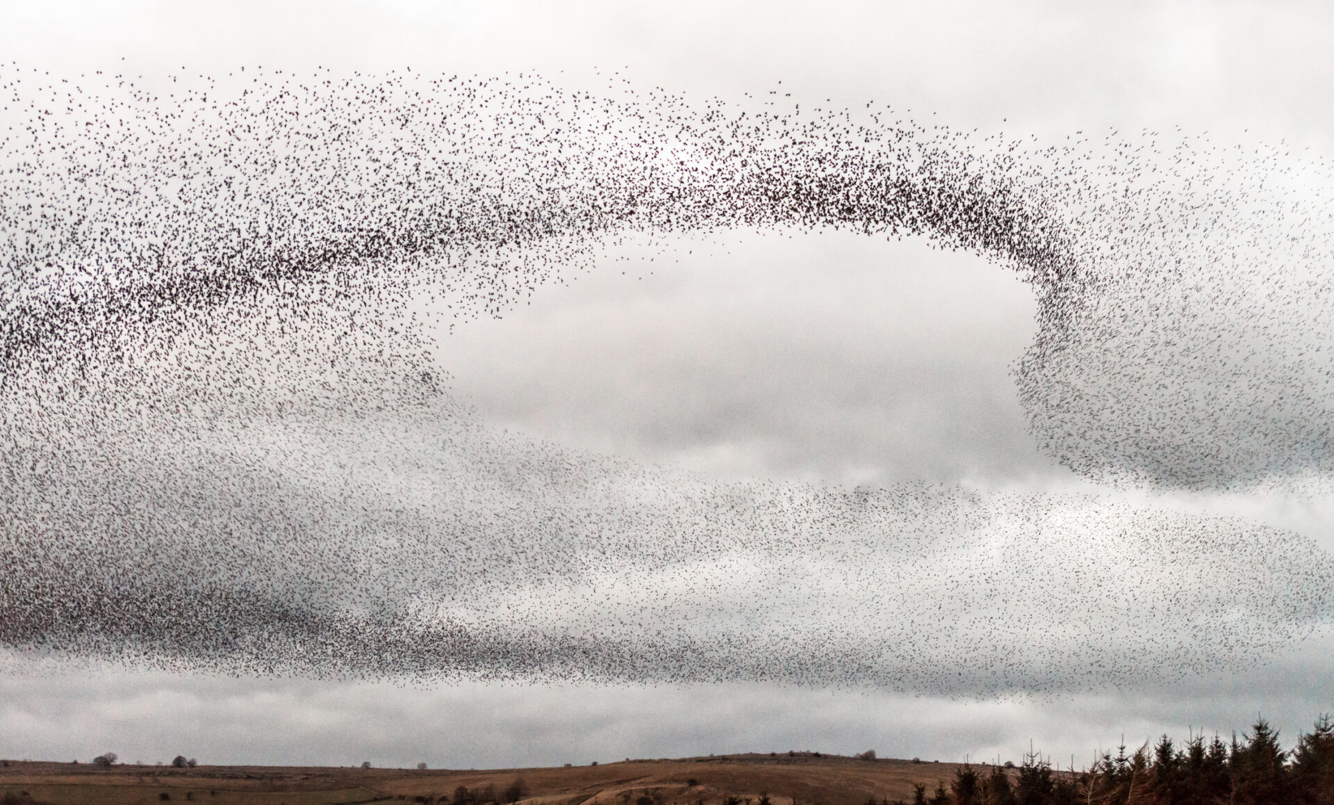 Spontaneous Order: A Testament to Human Creativity and Adaptability ...