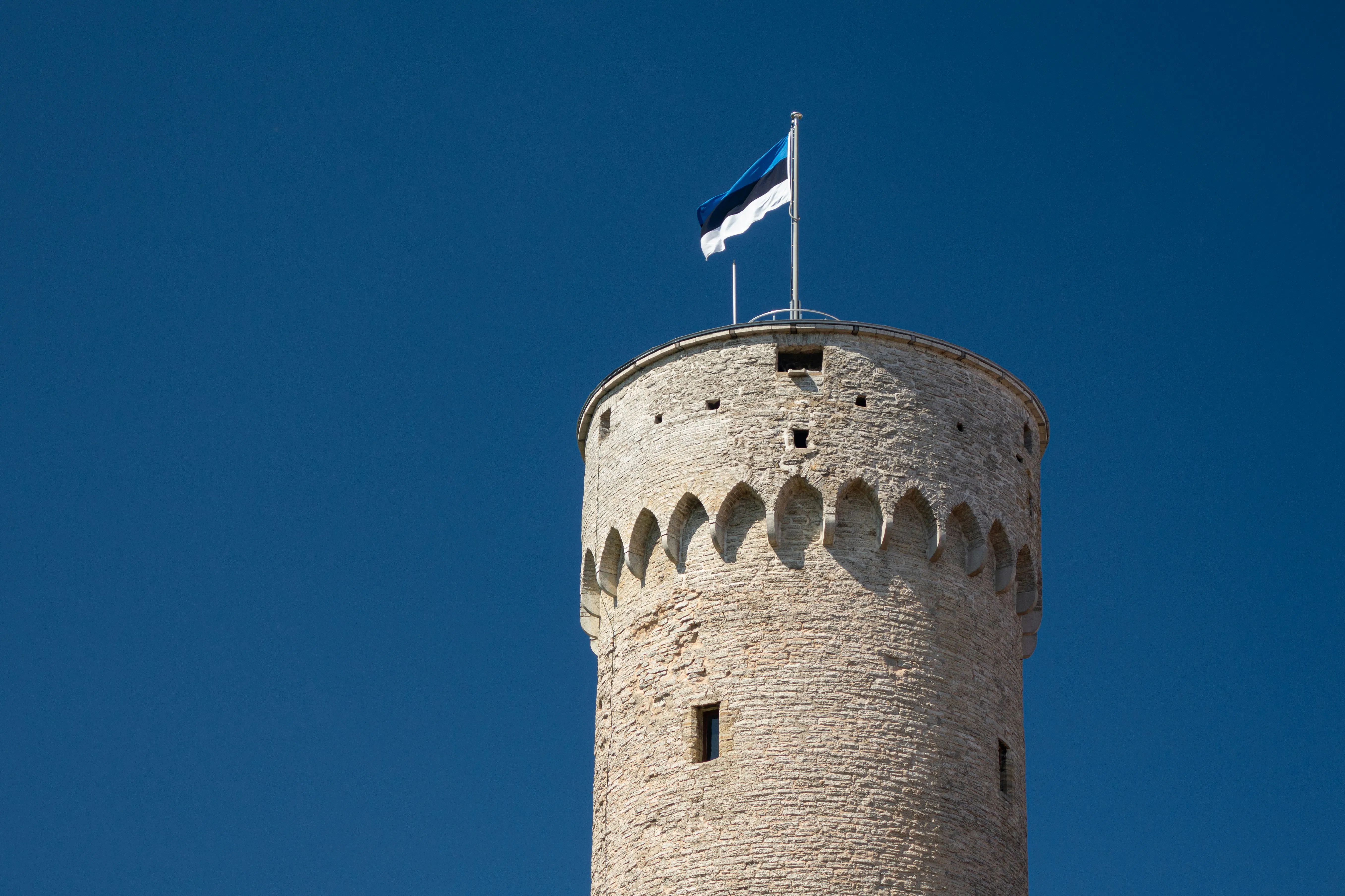 Estonian flag