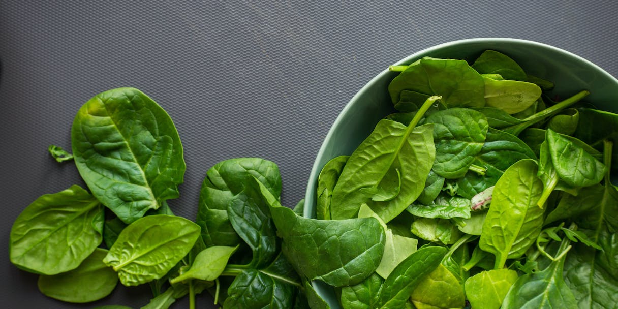 A Guide to the Leafy Green Spinach