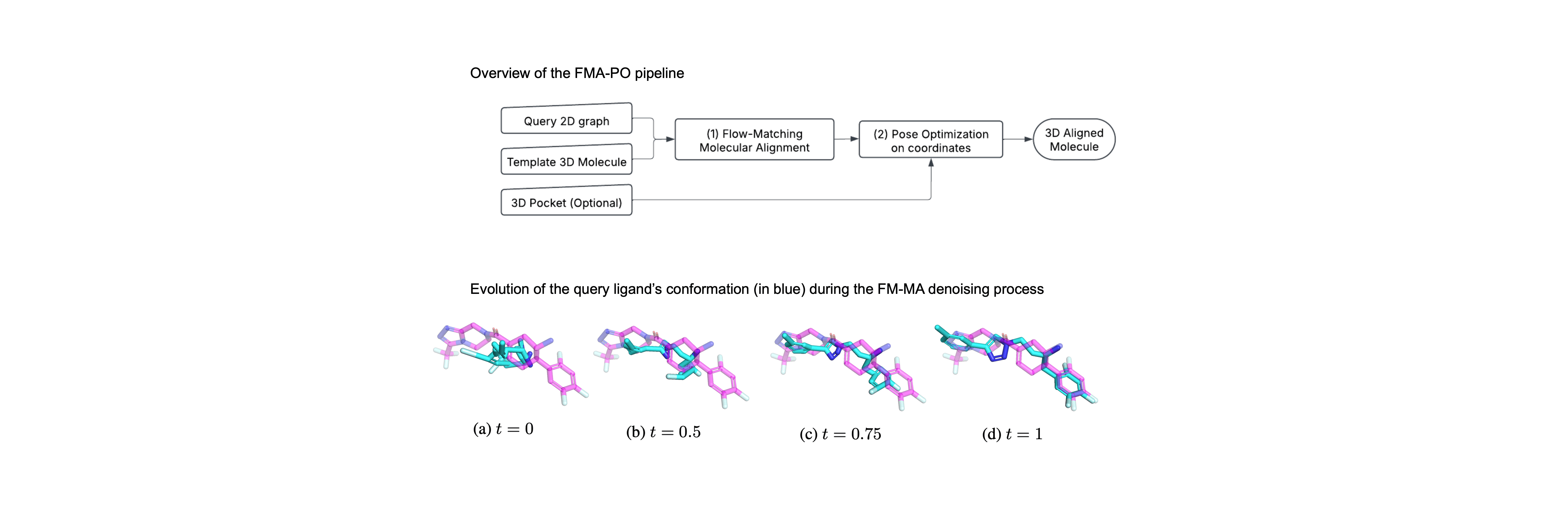Preprint: Template-Guided 3D Molecular Pose Generation via Flow Matching and Differentiable Optimization