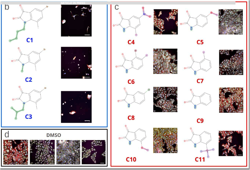 Large scale compound selection guided by cell painting reveals activity cliffs and functional relationships