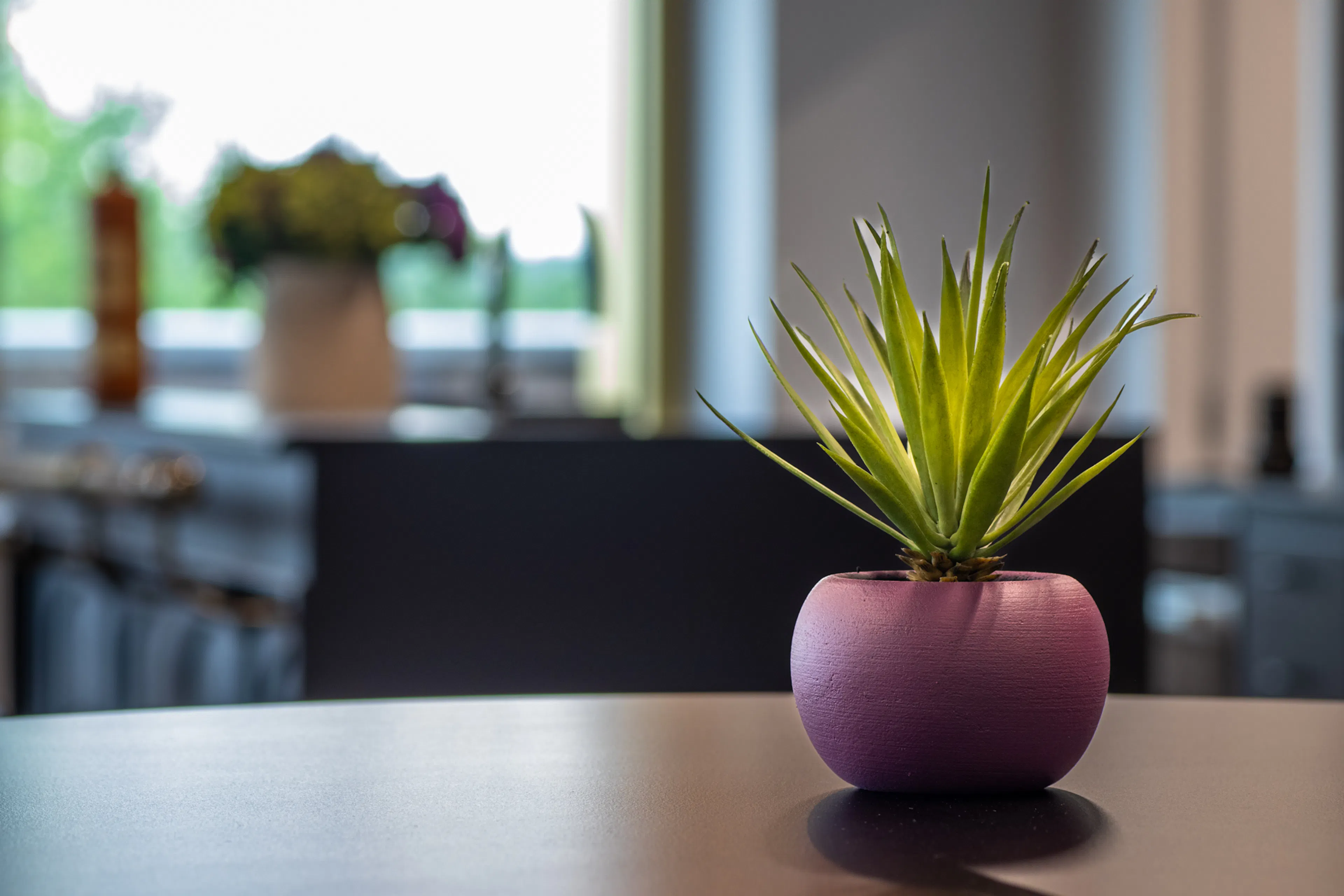 Een sfeervolle foto van het Grand Café met een bloempotje op de voorgrond.