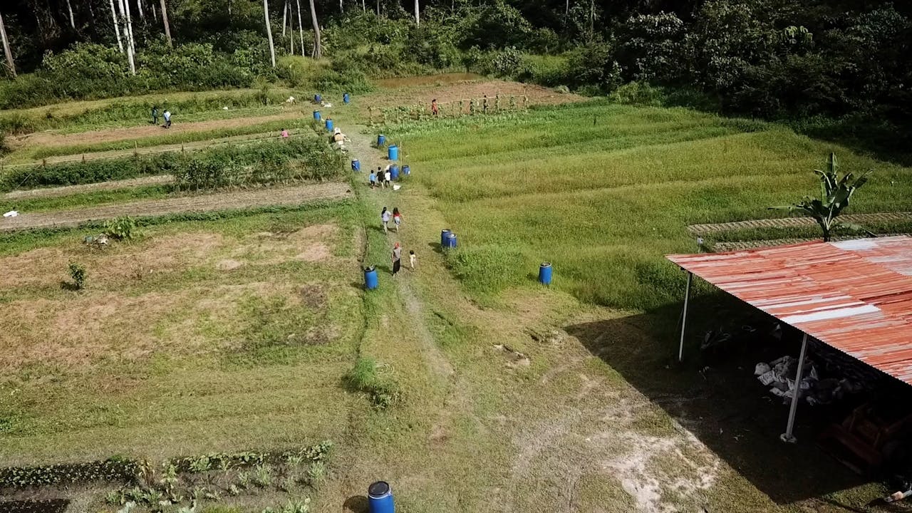 Vue aérienne de la ferme biologique communautaire du village de Melai.