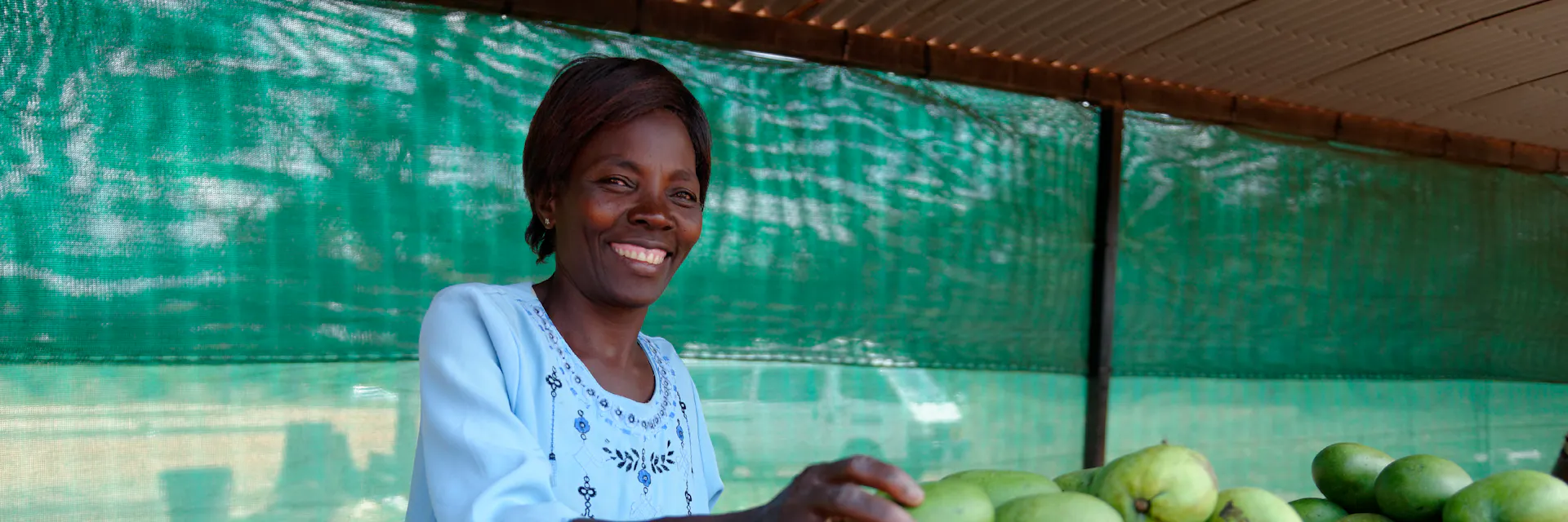 Une vendeuse derrière un étal de fruits sur un petit marché en bord de route en Zambie sourit à la caméra