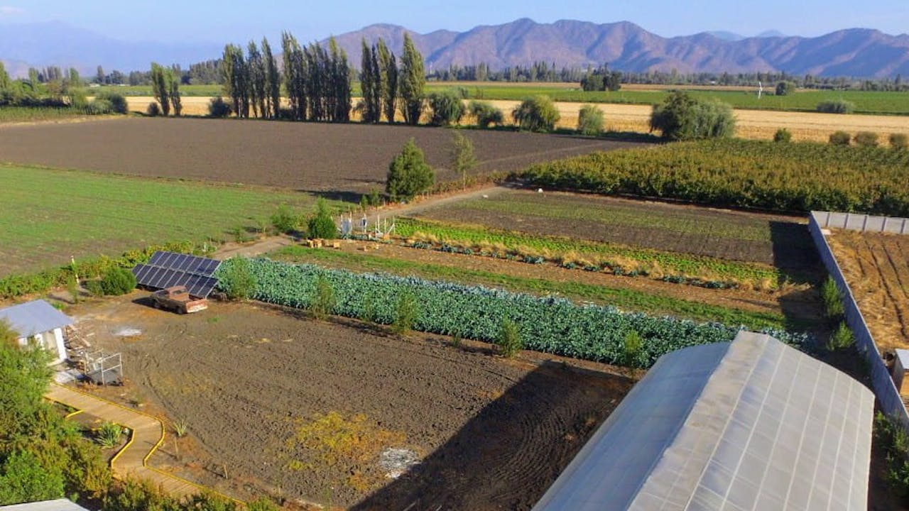 Vue aérienne de la ferme d’Alfredo Carrasco, avec une serre et des champs au premier plan et les montagnes en arrière-plan.