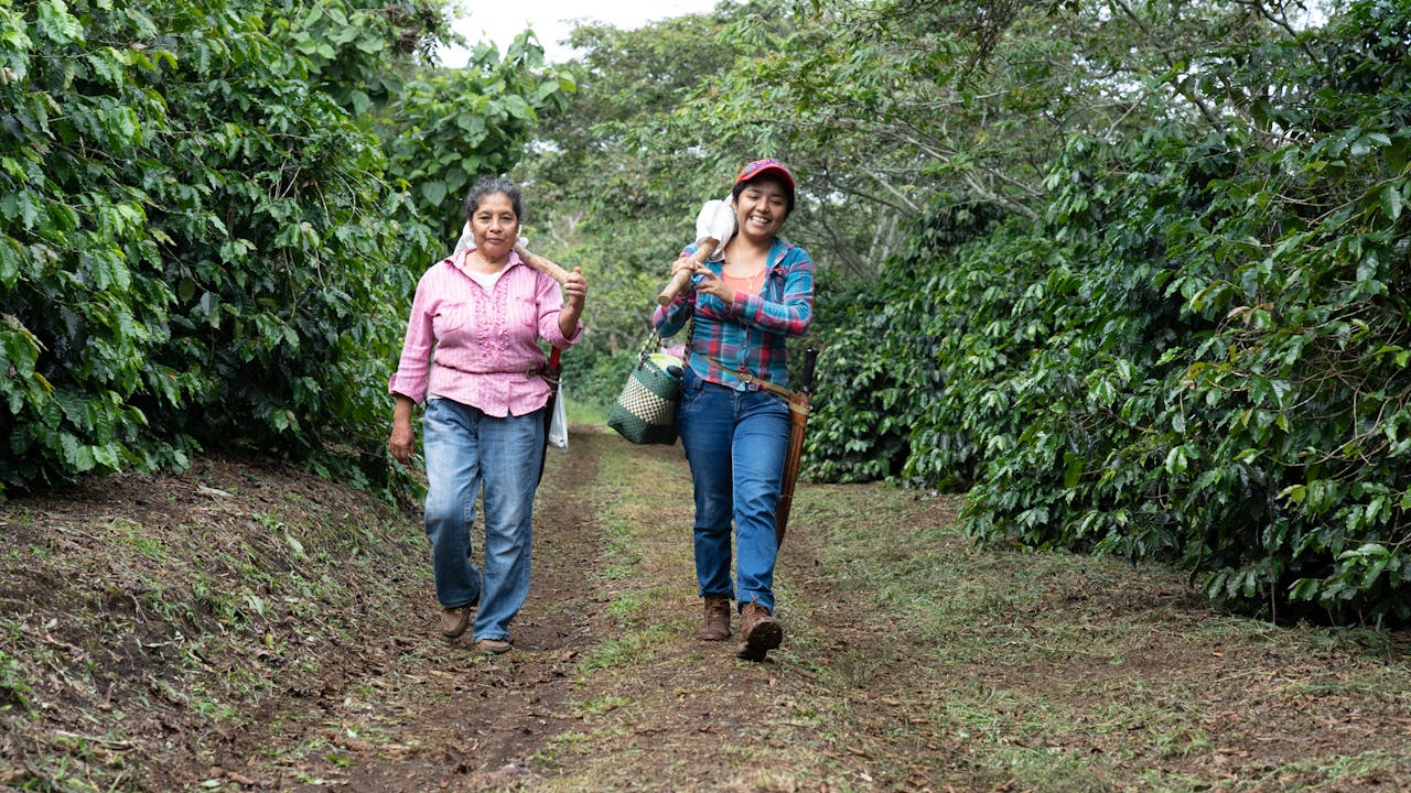 Briseida Venegas Ramos carries a bag of coffee beans and walks along a path with another woman. Tall green plants stand either side of them.  