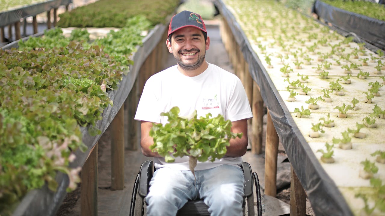 Alfredo Carrasco sostiene dos plantas de lechuga y sonríe. Está en un invernadero. A su izquierda hay una hilera larga de lechugas en crecimiento. A su derecha, crece una hilera de plantones de lechuga. 