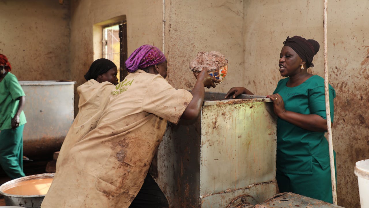 Zakaria Adama Lacera watches two women workers as they look into a shea kneading machine. One of them holds up a bowl full of unrefined shea butter. 