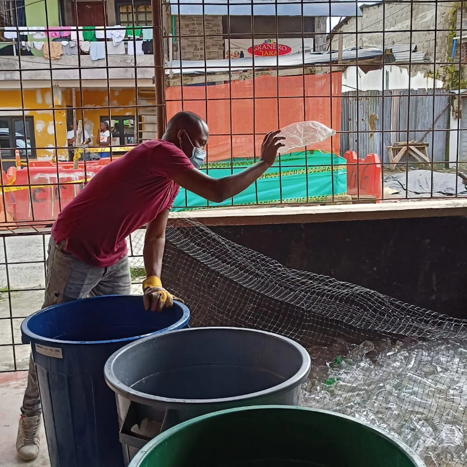 Los jóvenes en Colombia construyen la paz con empleos verdes
