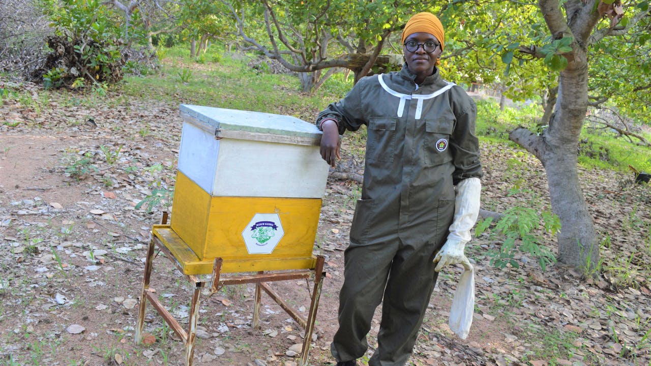 Cissé Mabré wears a yellow headscarf and stands next to a beehive.