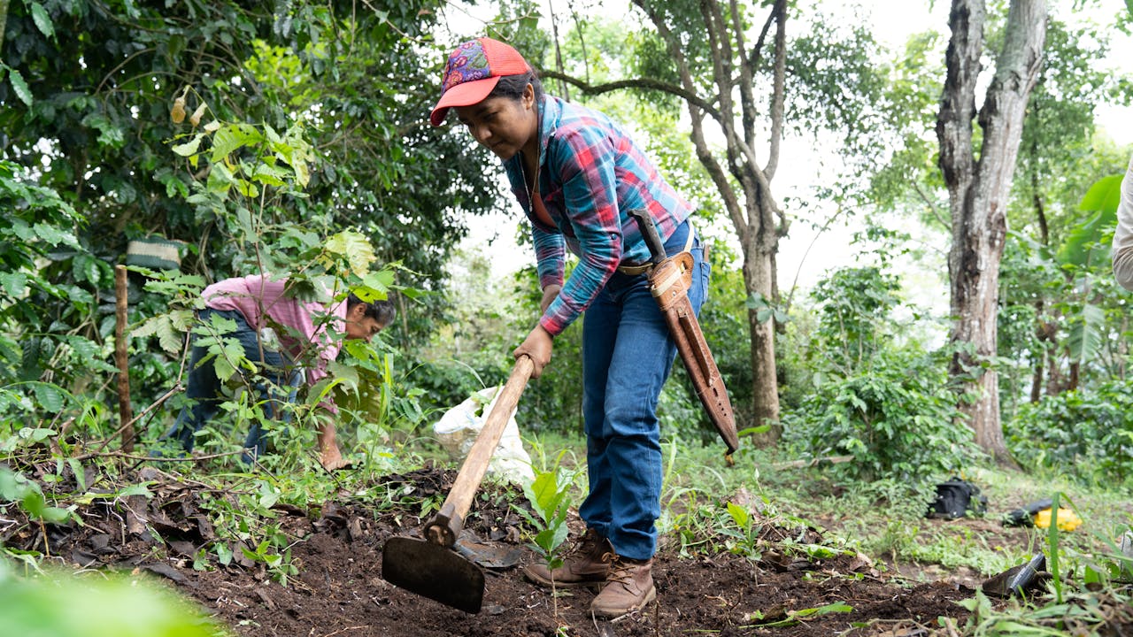 Briseida Venegas Ramos uses a hoe to clear weeds on a patch of soil. She wears a knife in a holster attached to her belt. 
