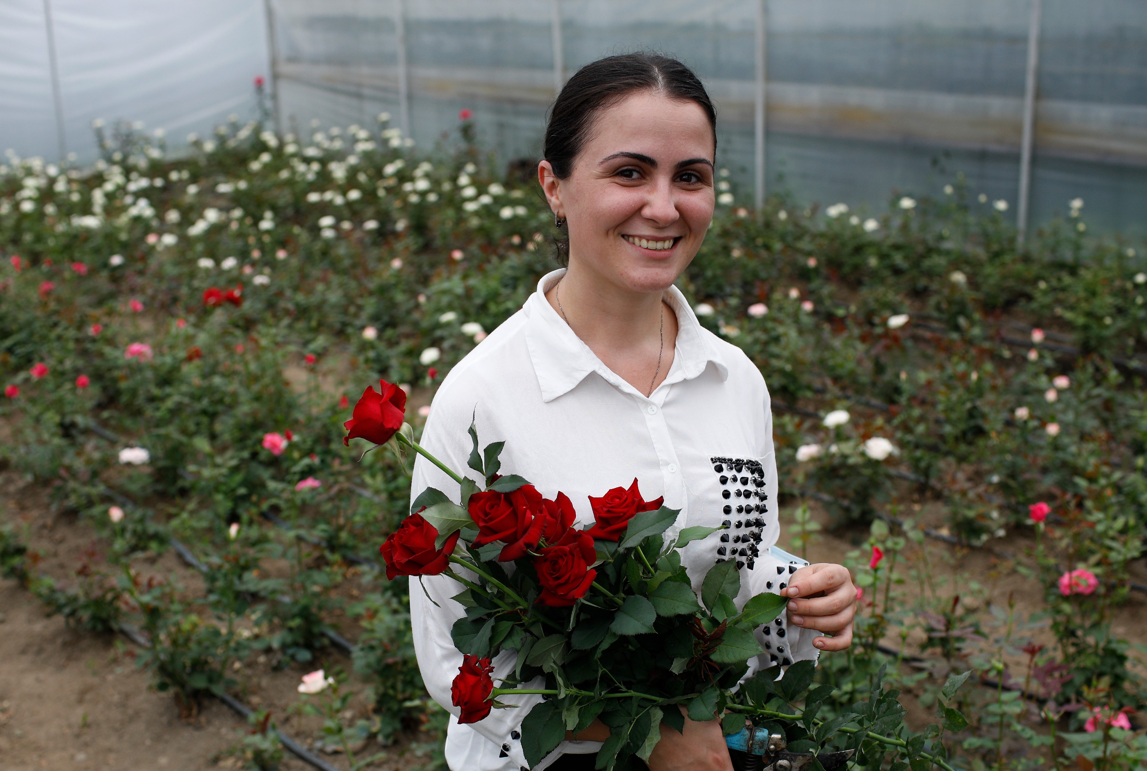 Mariam Kobalia stands in her greenhouse and carries a bouquet of red roses. Behind her are rows of rose bushes.