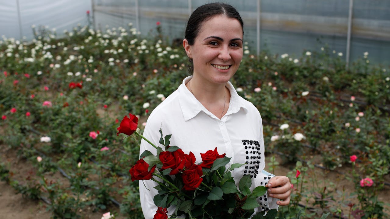 Mariam Kobalia stands in her greenhouse and carries a bouquet of red roses. Behind her are rows of rose bushes.