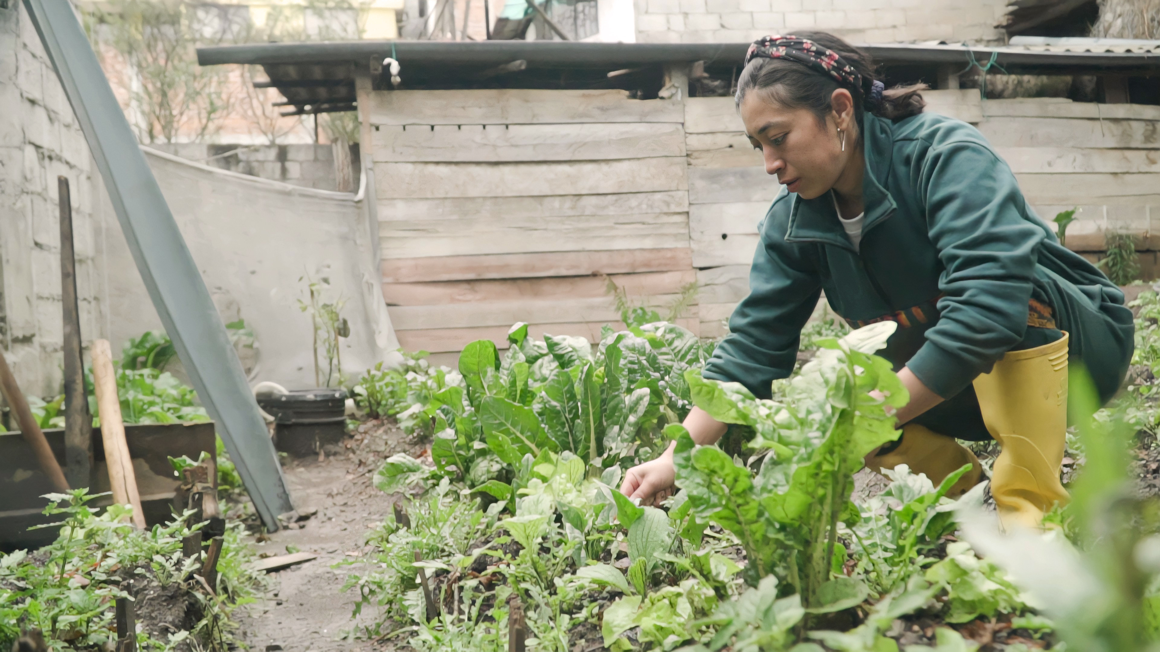 Trabajo seguro para todas: la urgencia de una perspectiva de género