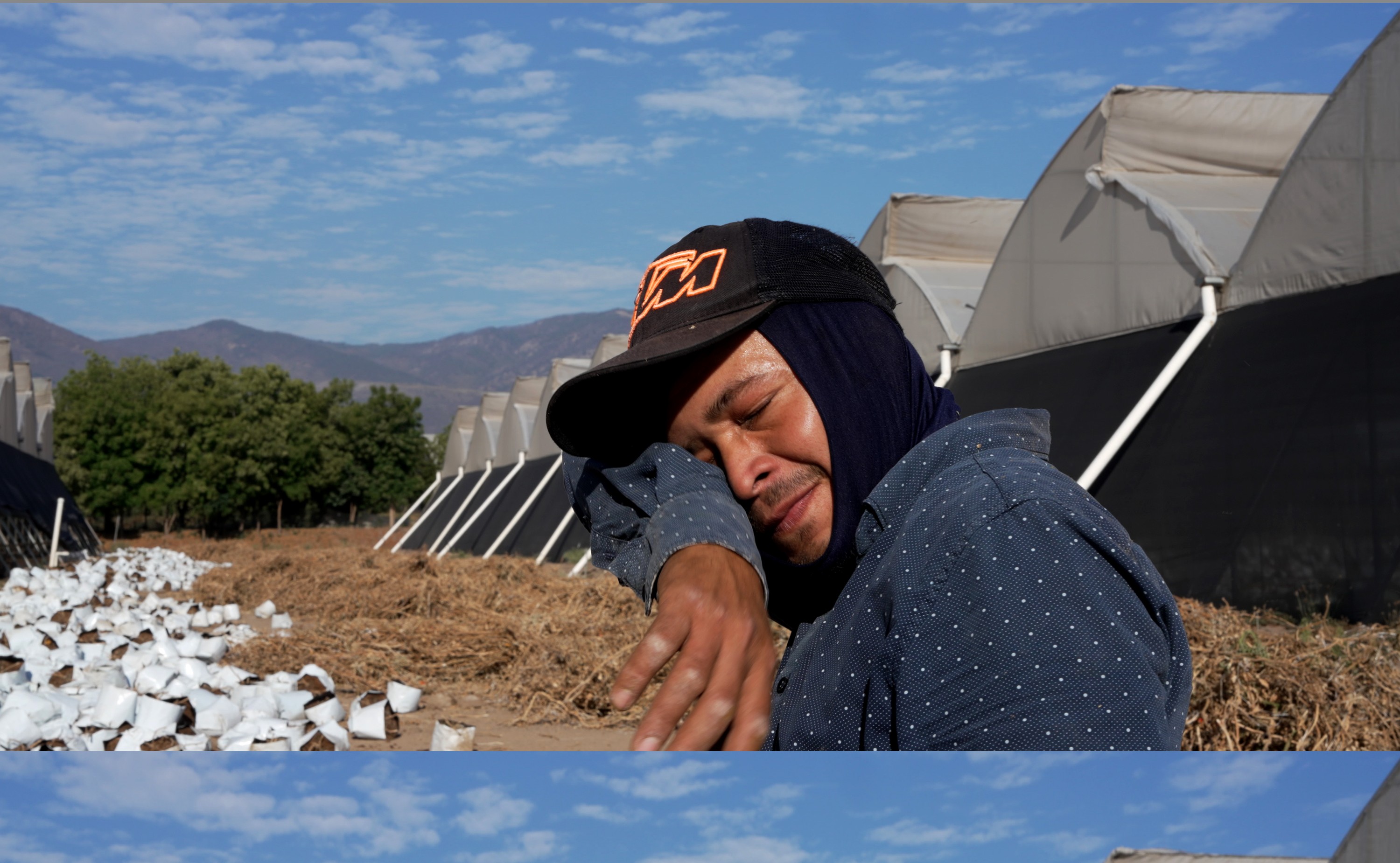 Estrés térmico: cómo el cambio climático impacta la salud de los trabajadores