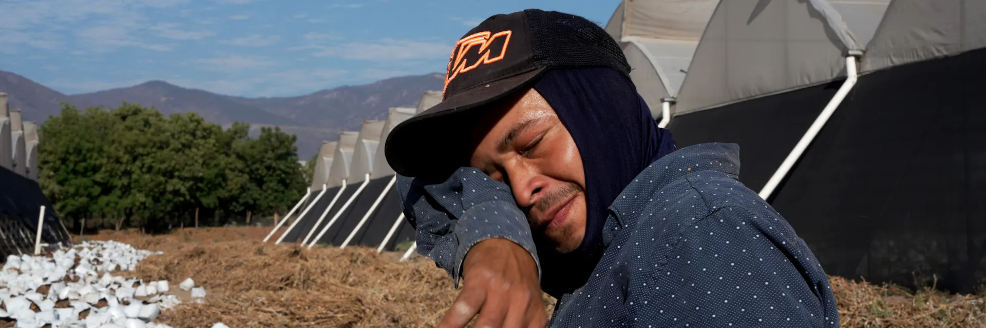 Estrés térmico: cómo el cambio climático impacta la salud de los trabajadores