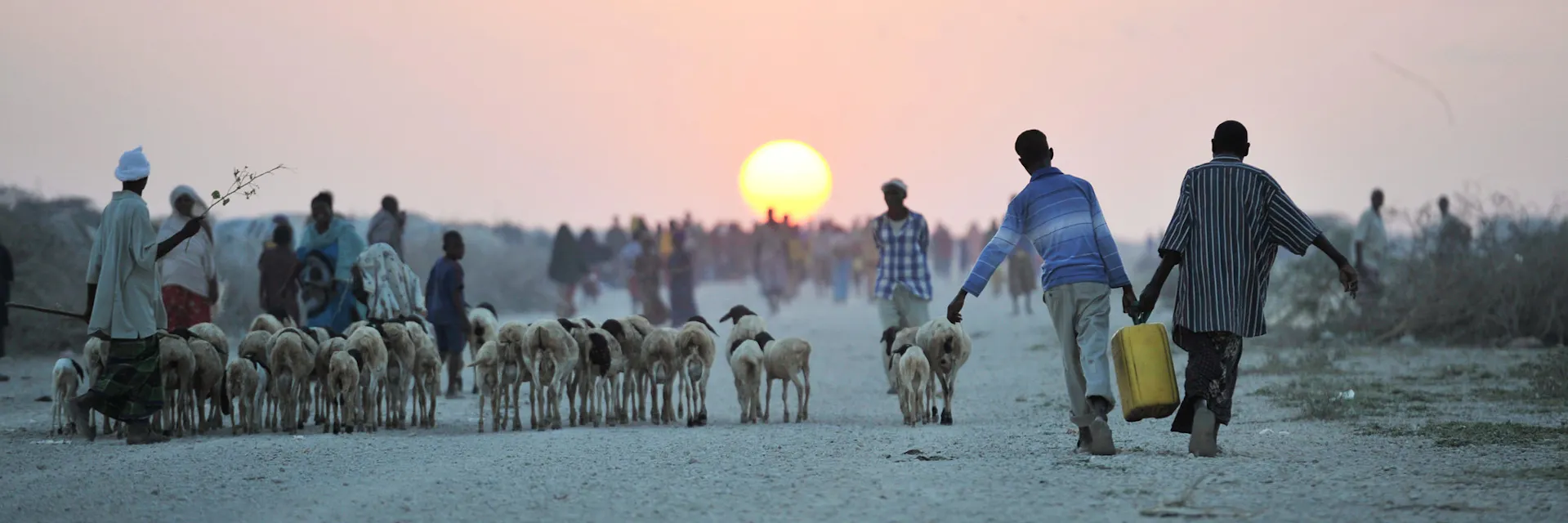 Two boys carry a jerry can of water and walk past goats and goat herders near the town of Jowhar, Somalia. The sun rises.