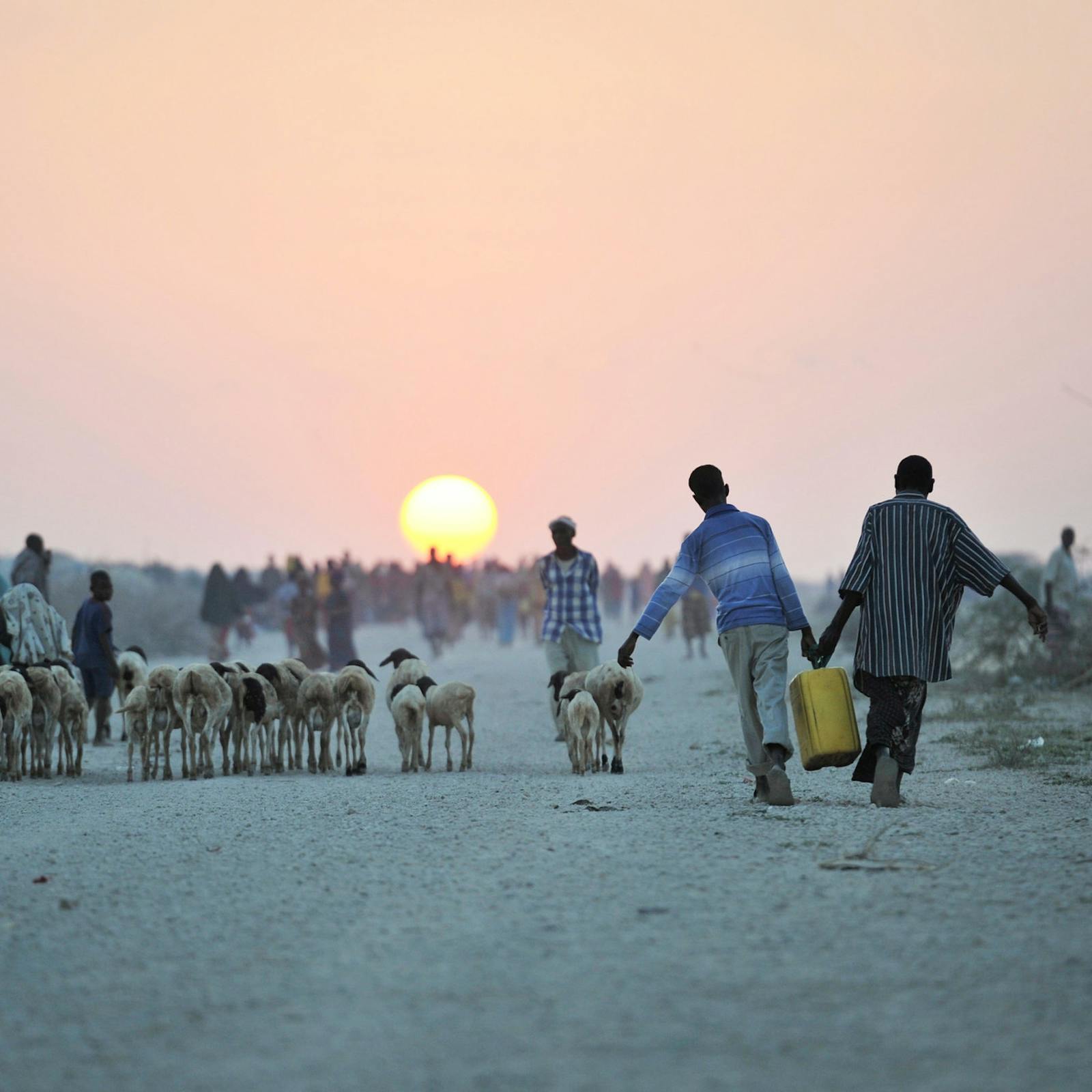 Why social protection is essential to shield the most vulnerable from the climate crisis Why social protection is essential to shield the most vulnerable from the climate crisis