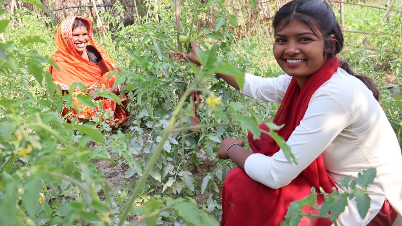 Suman and her mother in a vegetable garden with tomato plants, both are smiling.