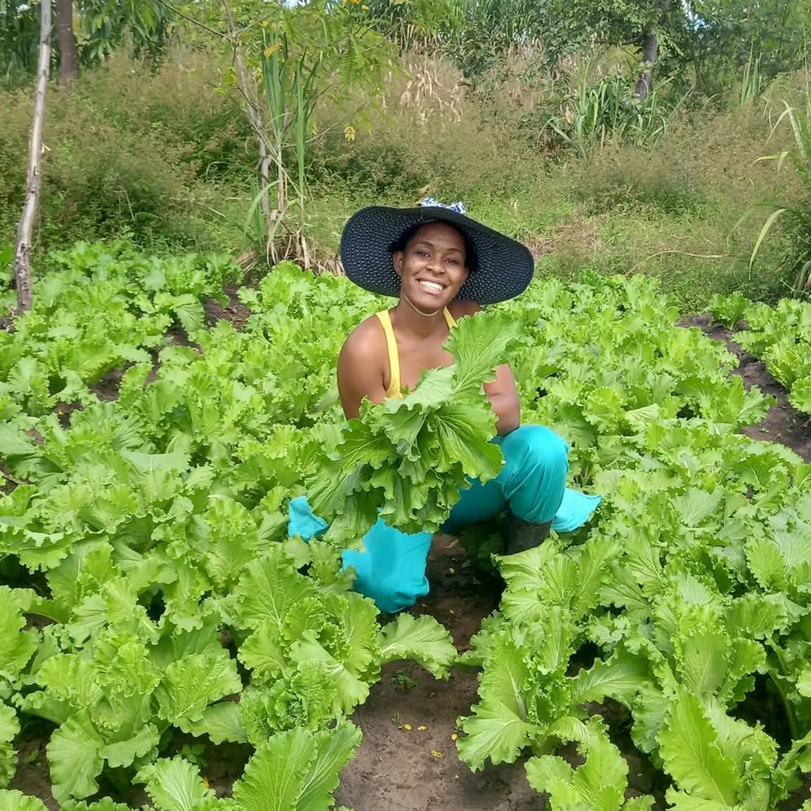 How rural youth are redefining agriculture in Africa episode artwork