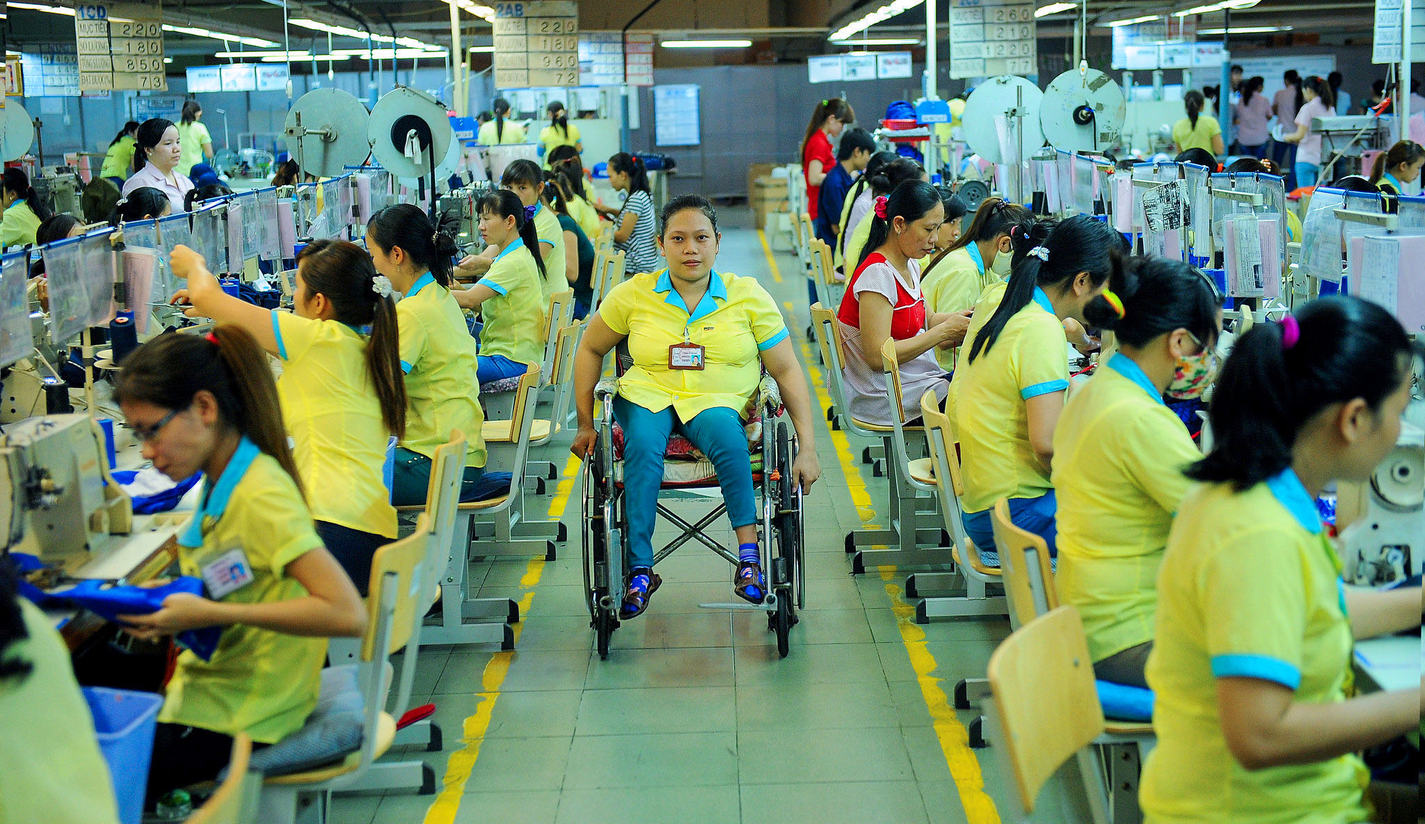 A garment worker in a yellow t-shirt wheels down an aisle in the centre of the photo.   She is in a wheelchair.  Garment workers all wearing yellow t-shirts work in rows either side of her at sewing machines.