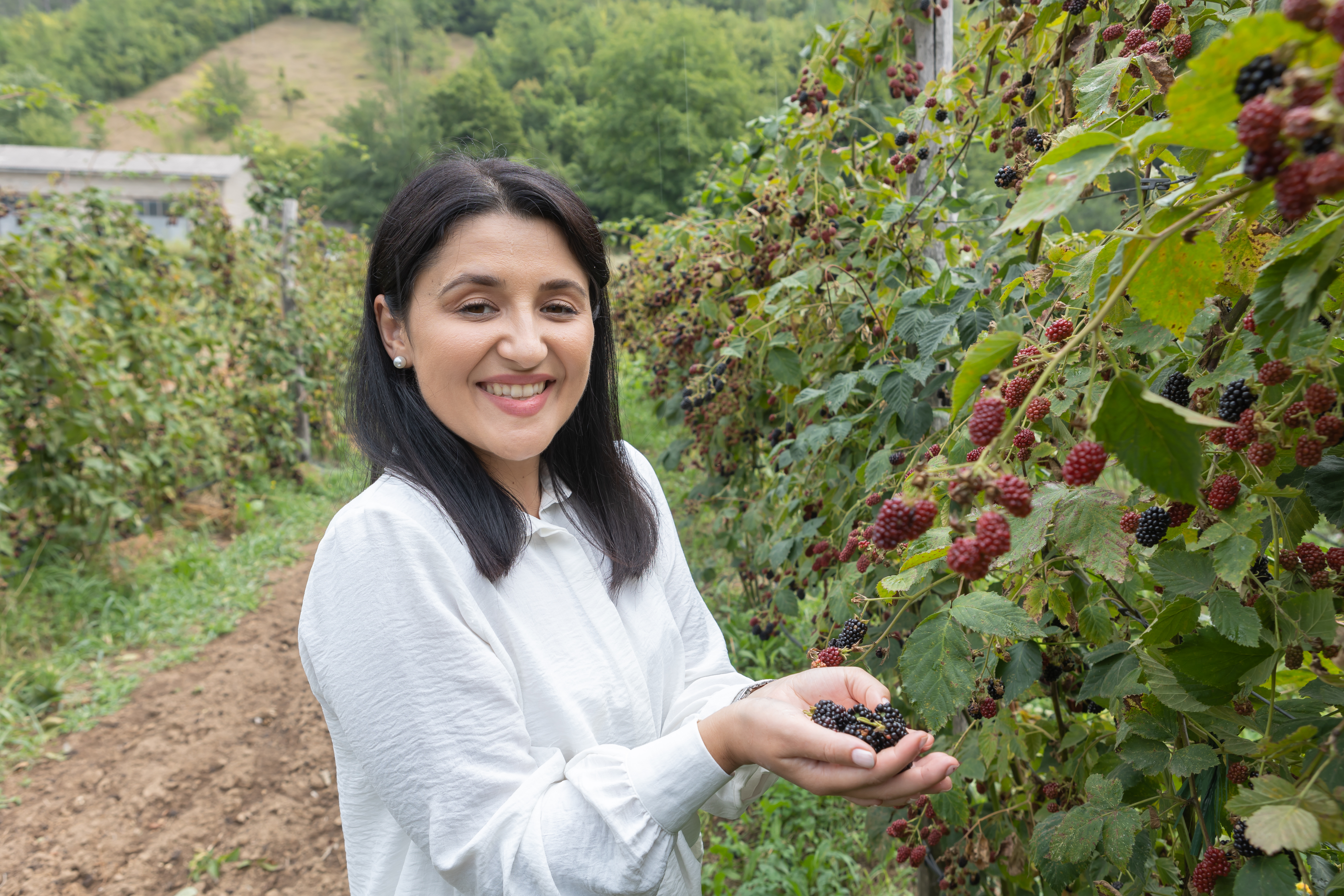 Merima Kukić Gego stands beside a row of blackberry bushes and holds blackberries in her hand.