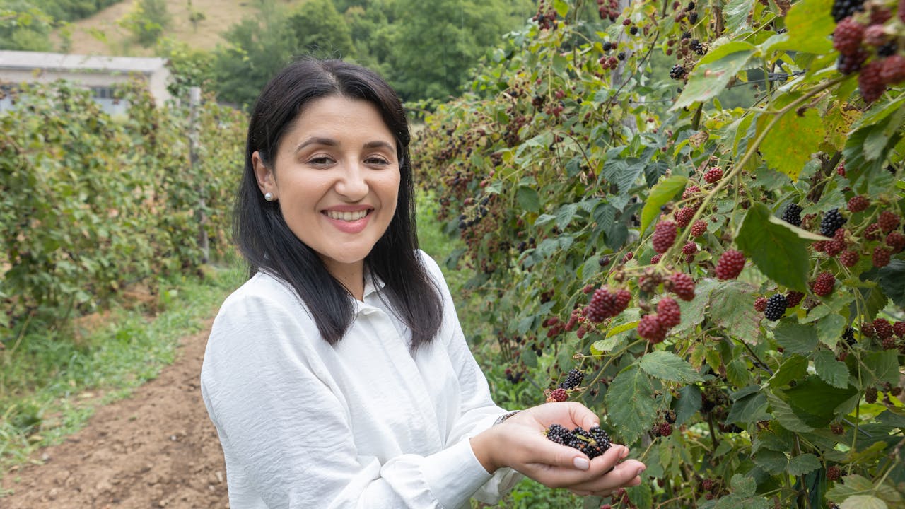 Merima Kukić Gego stands beside a row of blackberry bushes and holds blackberries in her hand.