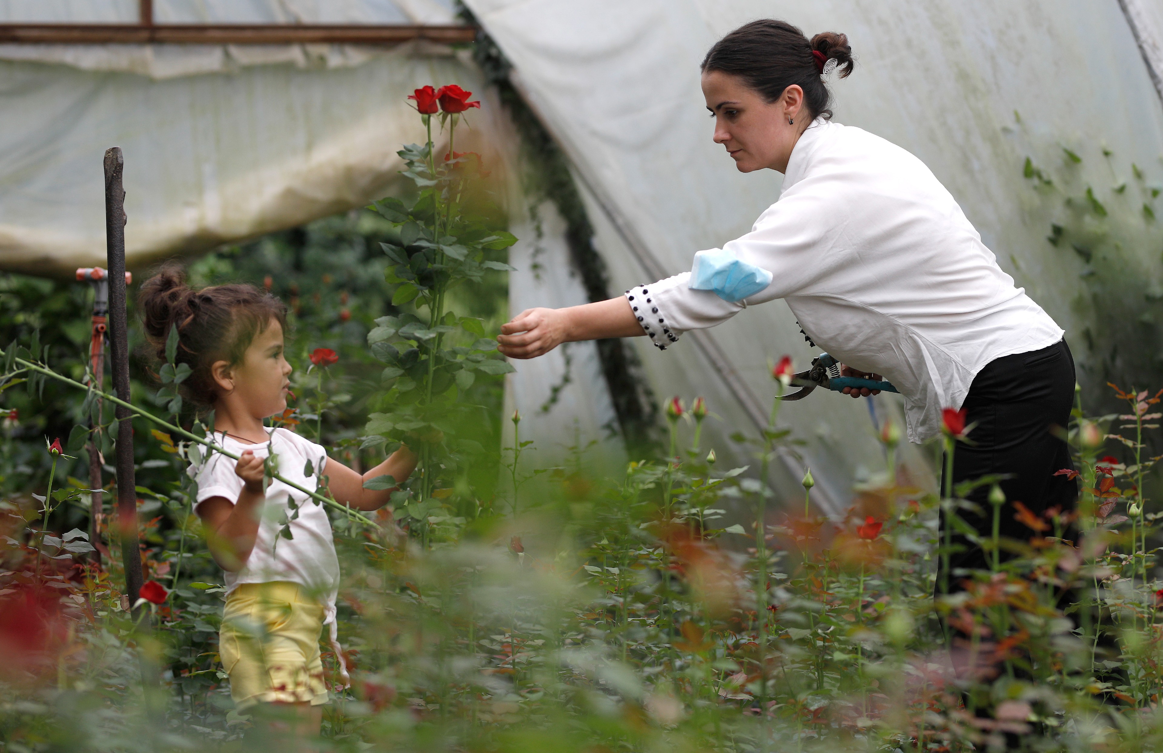 Mariam Kobalia is in the greenhouse with her young daughter, who holds some red roses.