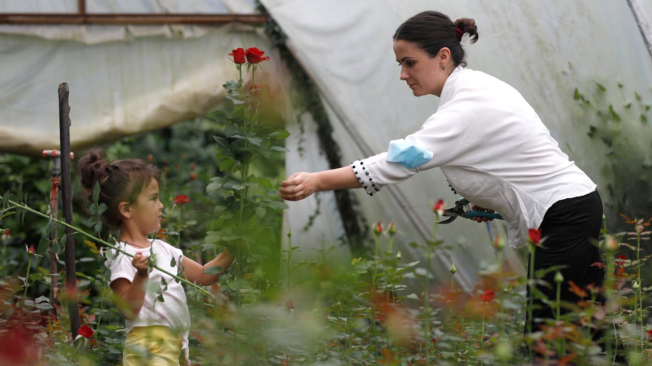 Mariam Kobalia is in the greenhouse with her young daughter, who holds some red roses.
